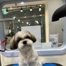 Mong's(몽'스) 이미지