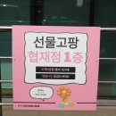 협재 바다의 선물 이미지