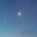 동진목장 이미지