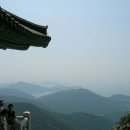 삶 - 관조 이미지