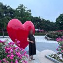 덕이짬뽕 짬뽕이 유명한 일산맛집 요리 및 식사 후기