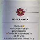 아이스걸크림보이속초점