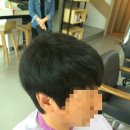 룩스오월