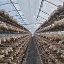 신봉농장 이미지