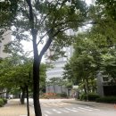 비산삼성래미안(아)경로당 | 부동산 초보의 내집마련을 위한 안양 비산삼성래미안 임장 후기