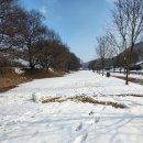 담양,곡성 雪景 이미지