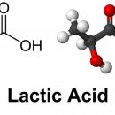 에시드(acid)