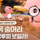 (유)서해도시산업 이미지