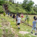 Repton-Year 1 went on a treasure hunt around the school using a simple map 이미지