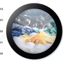 으뜸세탁 이미지