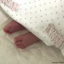 머미쿨쿨 올인원 거즈&amp;매쉬&amp;순면 / 모로반사 방지이불, 태열아기 이불추천
