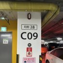 글로벌스타 | 발레의 별빛, 글로벌 발레스타 초청공연 후기