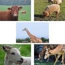 한사랑정신건강의학과의원 이미지