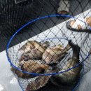 도깨비 낚시터 이미지