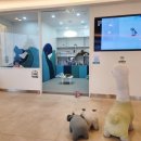 알파치과의원 이미지