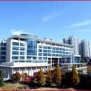 울산초등학교 이미지