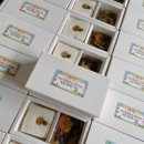 꽃향기어린이집 이미지