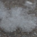 연세삼성이비인후과의원 이미지