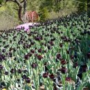 궁전노래방 이미지