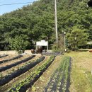 토담 | 예천 맛집 찾는다면｜현지인이 추천하는 맛질예찬 토담 한상 후기