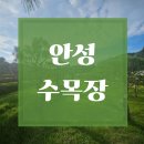 평자연목장 | 안성 수목장 법인형 시설이 인기 있는 이유