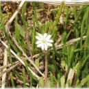 논두렁밭두렁 이미지