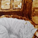 노원-상계-2525 이미지