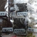여주-0752 Daum카페