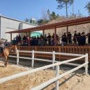 홍성군승마장 이미지