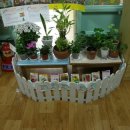 수정 어린이집 이미지