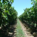 통큰농장 이미지