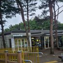 강원도 양양 솔향기언덕｜레스토랑 로그 조식 후기