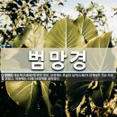 조화불교사 이미지