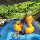 그린밸리펜션 이미지