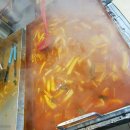 육가원 | 가평시내맛집 : 맛있는 떡볶이집 "또뽀끼야 가평점"