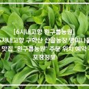 구학산농장 네이버블로그