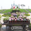 보리광장 이미지