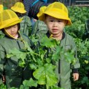 재훈농장 이미지