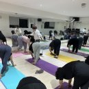 레디바디탄현점