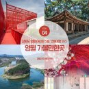 영월Y파크(술샘박물관) | 강원도 영월 가볼만한곳 아이랑 5월 영월여행
