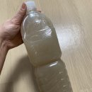 주정숙청국장 네이버블로그