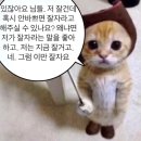 경북카클리닉 | 친절하고 꼼꼼한 대구 경산 최희철카클리닉 카센터 내 돈 내산 후기