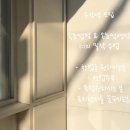 아라뷰티 네이버블로그