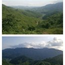 대보공인중개사 이미지