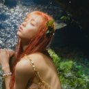 숲의 아이 이미지