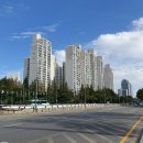 가락약국 이미지