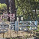 송해공원둘레길 | 대구 옥연지 송해공원 가는 길, 주차, 분수, 근처 카페 추천