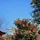 박종태유바외과의원 이미지