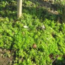 가곡농장 이미지