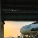 뚝섬한강공원-38 이미지